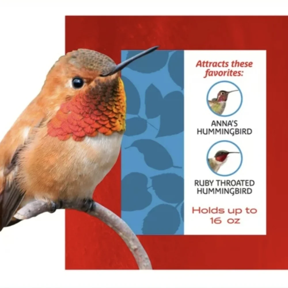 PENNINGTON 16 OZ. GLASS HUMMINGBIRD FEEDER - TOP RATED BEST SELLER☆ BNWT 1 LEFT!
